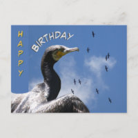 Carte d'anniversaire aux cormorans volants
