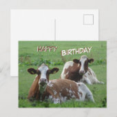 Postale Carte d'anniversaire avec deux vaches blanches-bru (Devant / Derrière)