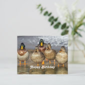 Postale Carte d'anniversaire avec photo de canards colvert (Debout devant)