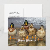 Postale Carte d'anniversaire avec photo de canards colvert (Devant / Derrière)