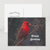 Postale Carte d'anniversaire avec photo de Cardinal rouge  (Devant / Derrière)