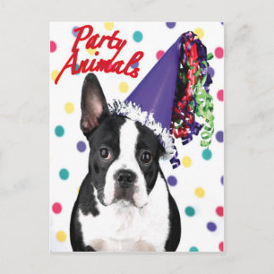 Postale Carte d'anniversaire Boston Terrier