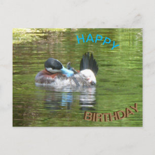 Postale Carte d'anniversaire Canard Ringtaling Joyeux Anni