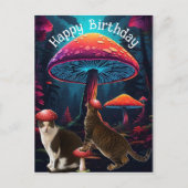 Postale Carte d'anniversaire Champignons et Chats (Devant)