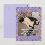Postale Carte d'anniversaire Chat Smoking Touchant les Ort (Devant / Derrière)