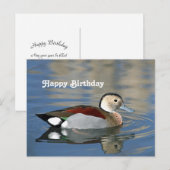 Postale Carte d'anniversaire de photo de canard sarcelle à (Devant / Derrière)