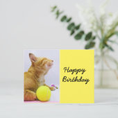 Postale Carte d'anniversaire de tennis avec gingembre chat (Debout devant)