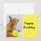 Postale Carte d'anniversaire de tennis avec gingembre chat (Devant / Derrière)