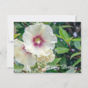 Postale Carte d'anniversaire des fleurs Hollyhock