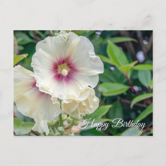 Postale Carte d'anniversaire des fleurs Hollyhock (Devant)