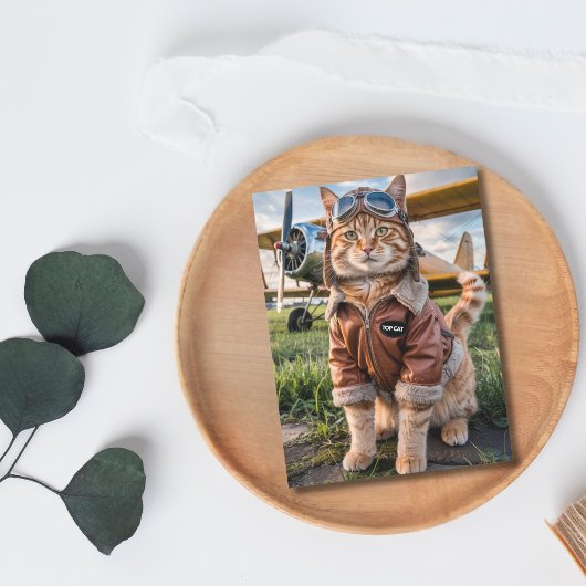 Postale Carte d'anniversaire drôle de chat pilote et d'avi