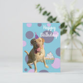 Postale Carte d'anniversaire Dudley Labrador (Debout devant)