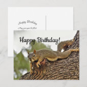 Postale Carte d'anniversaire écureuil allongé dans un arbr (Devant / Derrière)