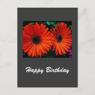 Postale carte d'anniversaire fleurs de marguerite de coule
