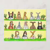 Postale Carte d'anniversaire Fun Bunnies (Devant)