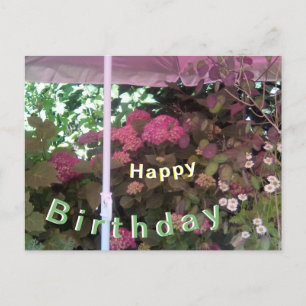 Postale Carte d'anniversaire Hydrangea sous Parasol