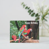 Postale Carte d'anniversaire joyeux perroquets (Debout devant)