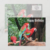 Postale Carte d'anniversaire joyeux perroquets (Devant / Derrière)