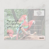 Postale Carte d'anniversaire joyeux perroquets (Dos)