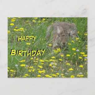 Postale Carte d'anniversaire Lapin dans un champ de fleurs