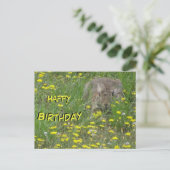 Postale Carte d'anniversaire Lapin dans un champ de fleurs (Debout devant)