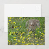 Postale Carte d'anniversaire Lapin dans un champ de fleurs (Devant / Derrière)