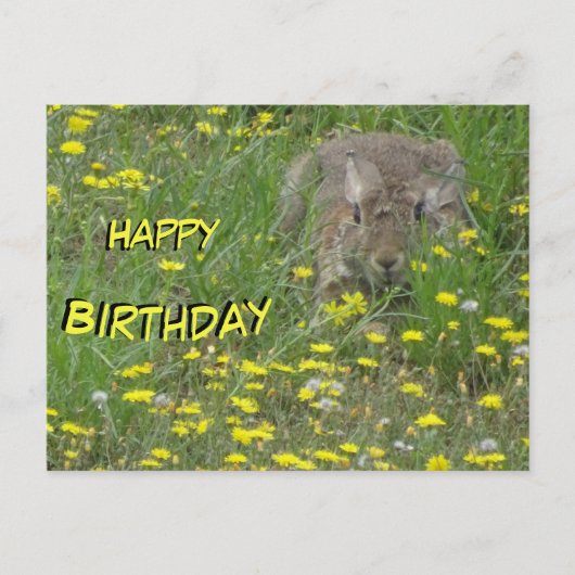 Postale Carte d'anniversaire Lapin dans un champ de fleurs (Devant)