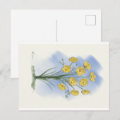 Postale Carte d'aquarelle de coupe-fleurs (Devant / Derrière)