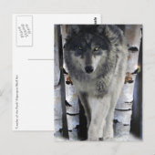 Postale Carte d'art de loup gris et de faune de forêt (Devant / Derrière)