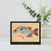 Postale Carte d'art Sunfish (Debout devant)