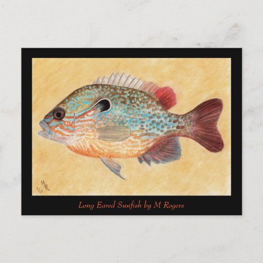 Postale Carte d'art Sunfish (Devant)