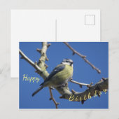Postale Carte de Bon Anniversaire Petit Oiseau avec Ciel B (Devant / Derrière)