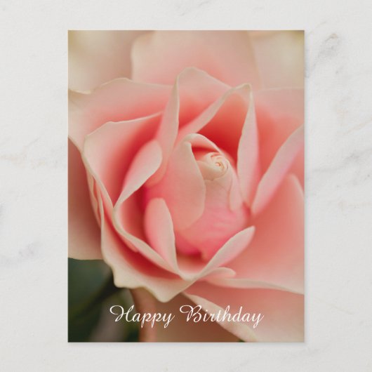 Postale Carte de Bon Anniversaire Rose (Devant)