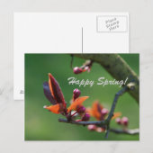 Postale Carte de Bon Printemps (Devant / Derrière)