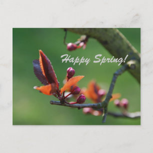 Postale Carte de Bon Printemps