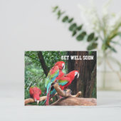 Postale carte de bon rétablissement pour perroquets (Debout devant)