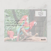 Postale carte de bon rétablissement pour perroquets (Dos)