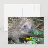 Postale Carte de bonne anniversaire avec un hérisson migno (Devant / Derrière)