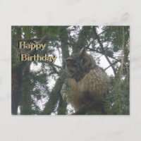Carte de bonne fête avec une Chouette Hulotte mign