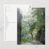 Postale Carte de carrière Tilberthwaite Rowan Tree (Devant / Derrière)