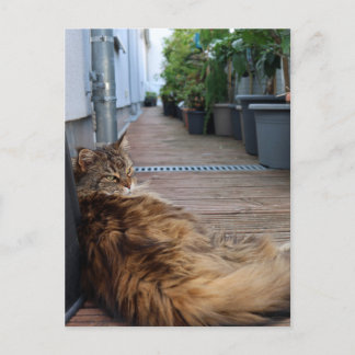 Postale Carte de chauffage domestique ou simplement déplac