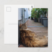 Postale Carte de chauffage domestique ou simplement déplac (Devant / Derrière)