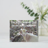 Postale Carte de chèvre ancienne (Debout devant)