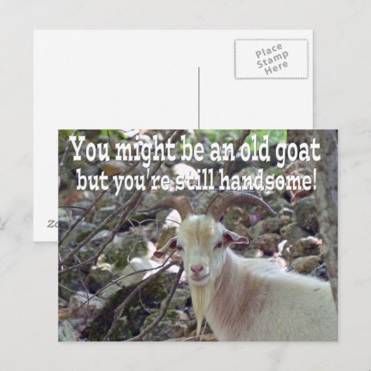 Postale Carte de chèvre ancienne (Devant / Derrière)
