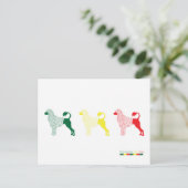 Postale Carte de chien d'eau portugaise (Debout devant)