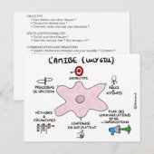 Postale Carte de coaching : L'amibe de Lucy Gill (Devant / Derrière)