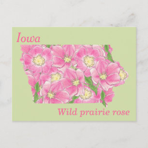 Postale Carte de collage des fleurs de l'État de l'Iowa
