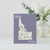 Postale Carte de collage des fleurs de l'État d'Idaho (Debout devant)