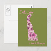 Postale Carte de collage des fleurs de l'État du Delaware (Devant / Derrière)