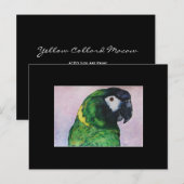 Postale Carte de commerce d'art Macaw ACEO de couleur jaun (Devant / Derrière)